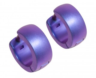 titanium earrings H966